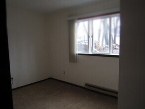 701 Monroe St N, Unit Apt #3 in Hudson, WI - Building Photo - Building Photo