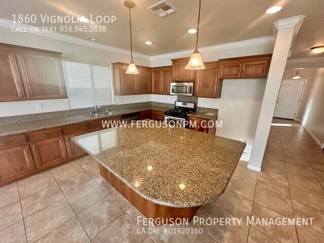 1860 Vignolia Loop in Roseville, CA - Building Photo - Building Photo