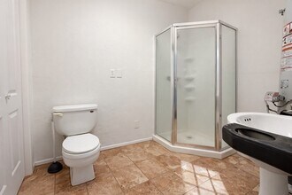 20250 Vineyard Ln in Fiddletown, CA - Building Photo - Building Photo