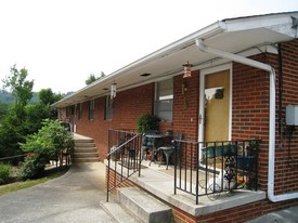 3900 Seeber Dr in Knoxville, TN - Building Photo