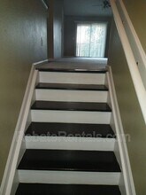 8208 White Falls Blvd in Jacksonville, FL - Building Photo - Building Photo