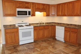 14437 S Ravinia Ave in Orland Park, IL - Building Photo - Building Photo