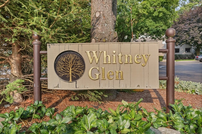 61 Whitney Glen Dr