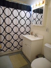 41 Carlton St, Unit #1 in Brookline, MA - Building Photo - Building Photo