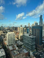 303 W Ohio St, Unit 1405 in Chicago, IL - Building Photo