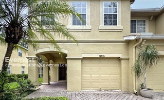 10545 Shady Falls Ct in Riverview, FL - Building Photo