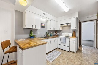 2100 Jefferson Park Ave in Charlottesville, VA - Building Photo - Building Photo