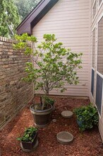 200 Supreme Ct in Irving, TX - Building Photo - Building Photo