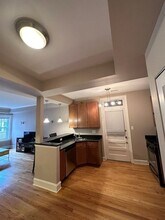 221 N Oak Park Ave in Oak Park, IL - Building Photo - Building Photo