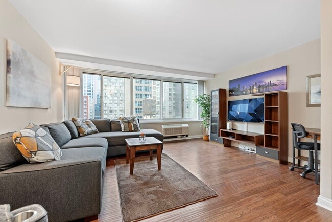 211 E Ohio St in Chicago, IL - Building Photo - Building Photo