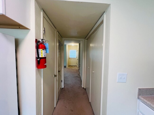 319 New Kent Rd in Blacksburg, VA - Building Photo - Building Photo