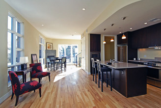 Washington Street Townhomes in Denver, CO - Building Photo - Other