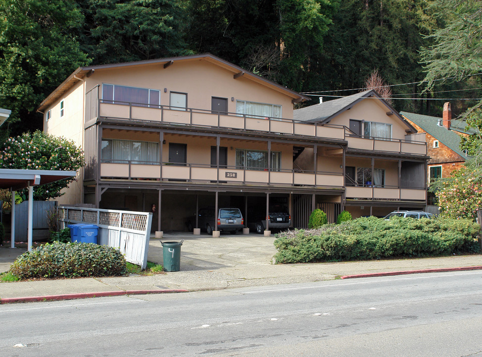 258 Miller Ave in Mill Valley, CA - Building Photo