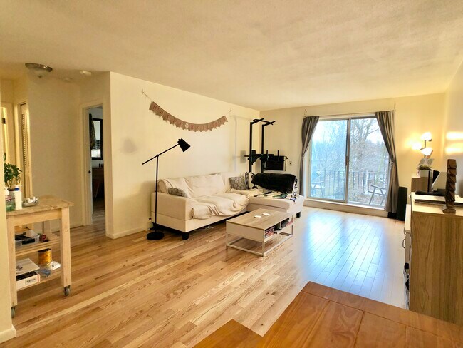 804 Centre St, Unit 206 in Boston, MA - Building Photo - Building Photo