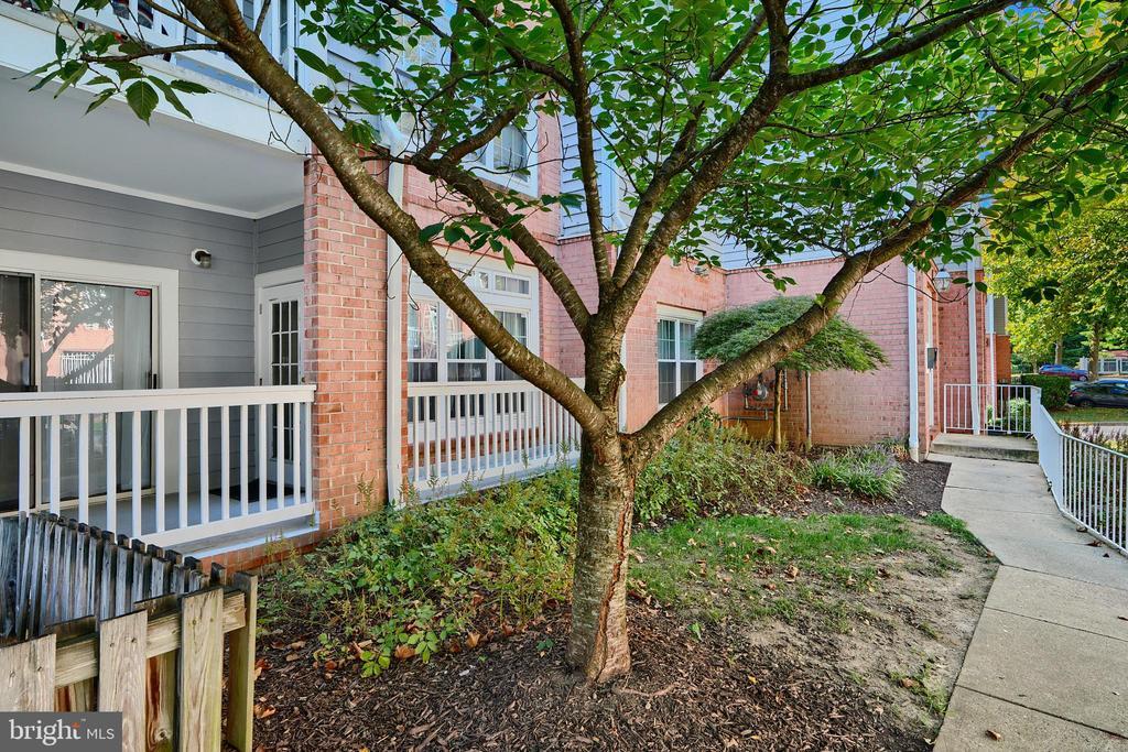9119 Groffs Mill Dr-Unit -9119 in Owings Mills, MD - Building Photo