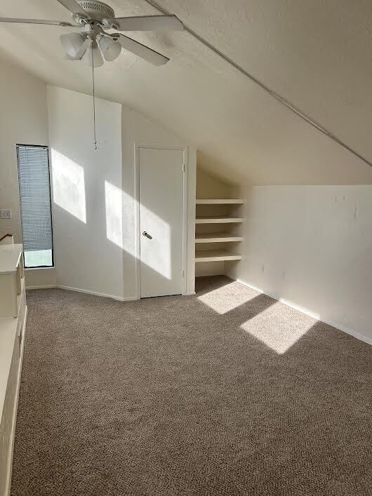 26601 Primrose Ct in Pointblank, TX - Building Photo - Building Photo