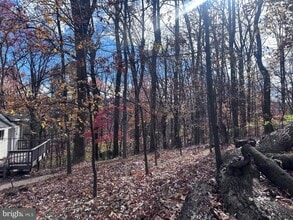 132 Pinecrest Ln in Bluemont, VA - Building Photo - Building Photo