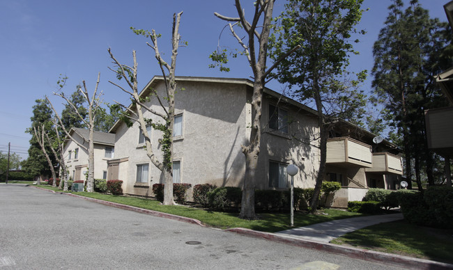 Mango Tree Apartments in Fontana, CA - Building Photo - Building Photo