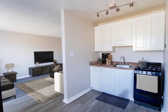 The Capri Apartments in Denver, CO - Building Photo - Building Photo