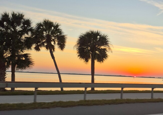 9 Haig Pl in Dunedin, FL - Building Photo - Building Photo