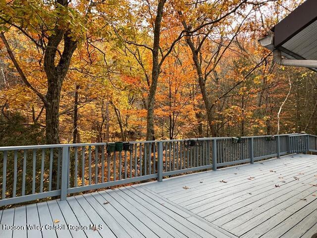 25 Ulla Terrace in Acra, NY - Building Photo - Building Photo