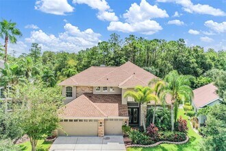 11670 Renaissance View Ct in Tampa, FL - Building Photo - Building Photo