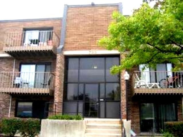 733 Limerick Ln in Schaumburg, IL - Building Photo