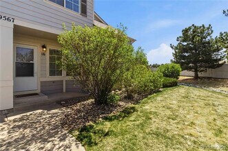 9567 Deer Horn Ct in Parker, CO - Building Photo - Building Photo