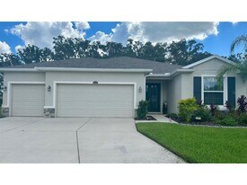 10931 Fallon Haze Cir in San Antonio, FL - Building Photo