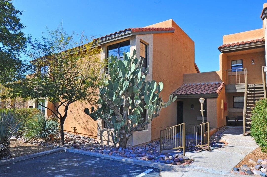 6651 N Campbell Ave in Tucson, AZ - Building Photo