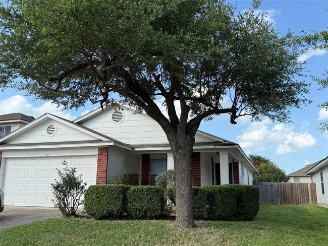 property at 317 Precipice Way