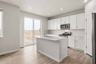 910 Hummocky Wy in Windsor, CO - Building Photo - Building Photo