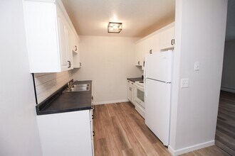 2009 E Nye St in Sioux Falls, SD - Building Photo - Building Photo