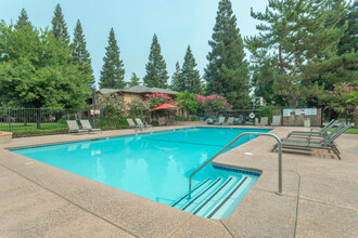 Pine Tree Apartments in Chico, CA - Building Photo - Building Photo