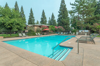 Pine Tree Apartments in Chico, CA - Building Photo - Building Photo