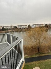 20590 Cornstalk Terrace in Ashburn, VA - Building Photo - Building Photo