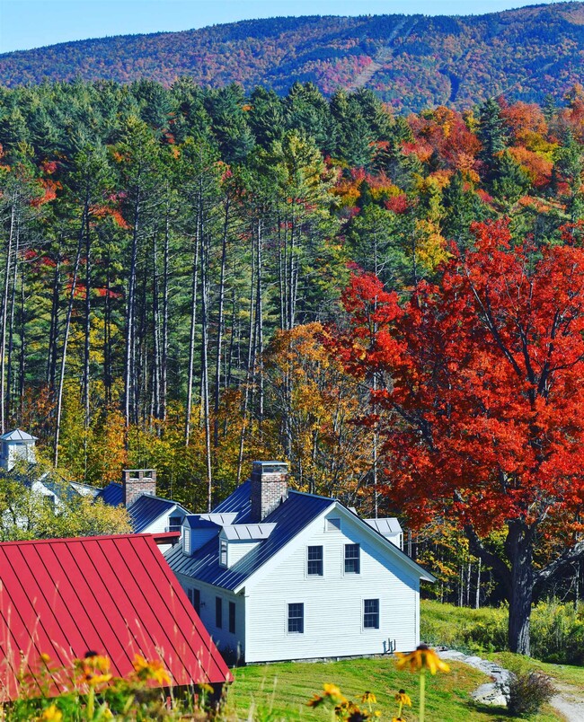 property at 4669 Vermont Rte 100