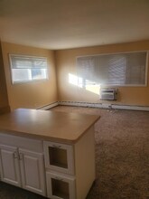 1107 Washington Blvd in Oak Park, IL - Foto de edificio - Building Photo