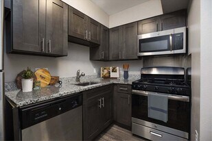 The Clara in San Antonio, TX - Building Photo