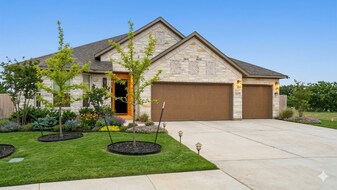 20816 Rowston Manor Ln in Manor, TX - Building Photo