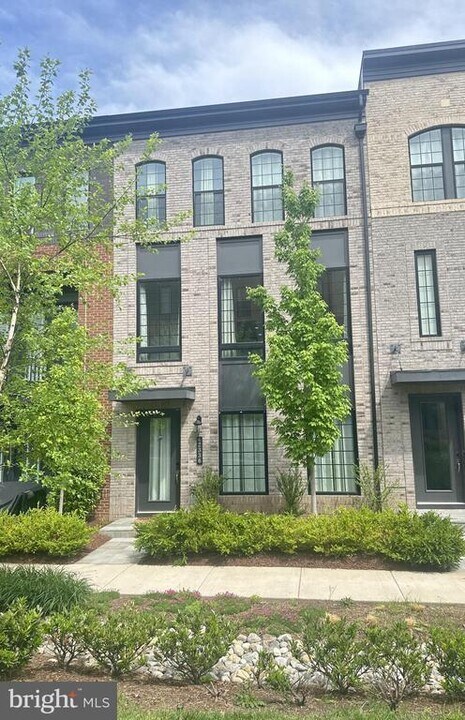 42336 Zebulon Sq in Ashburn, VA - Building Photo