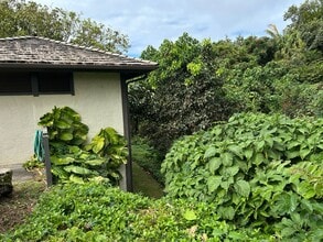 3890 Kamehameha Rd in Princeville, HI - Building Photo - Building Photo