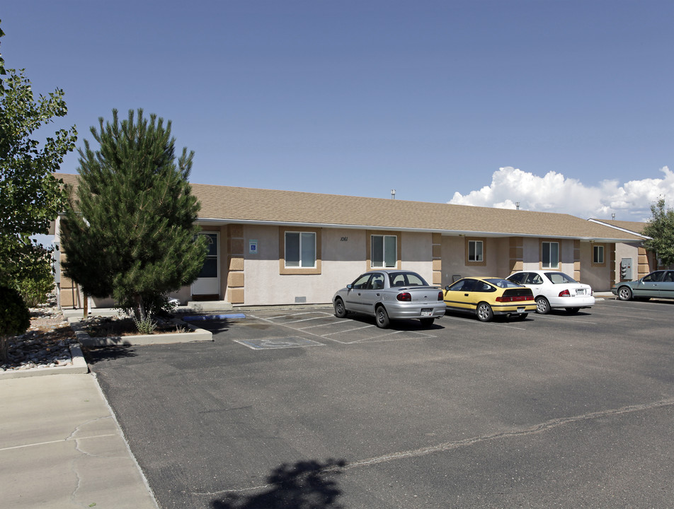 1061-1067 E Saxony Dr in Pueblo, CO - Building Photo