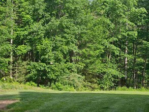 53 Tan Rd in Pittsfield, NH - Building Photo - Building Photo