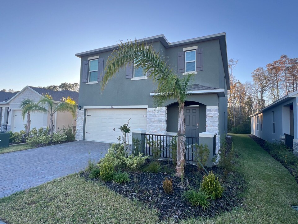 326 Caryota Ct in New Smyrna Beach, FL - Building Photo