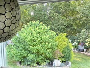 1044 Hummingbird Ln in Spring Hill, TN - Building Photo - Building Photo