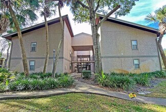 4207 Winding Moss Trail in Tampa, FL - Building Photo - Building Photo