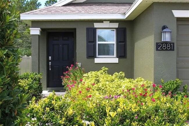 2881 Black Birch Dr in Ocoee, FL - Building Photo - Building Photo