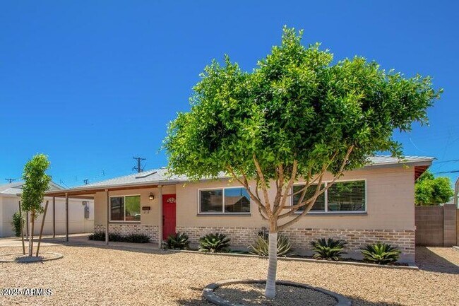 7815 E Belleview St in Scottsdale, AZ - Building Photo - Building Photo