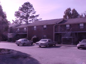 1130 SW Greenville Blvd in Greenville, NC - Building Photo - Building Photo